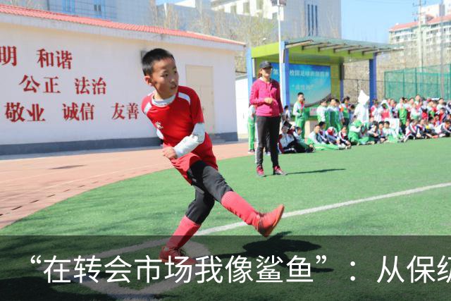 “在转会市场我像鲨鱼”：从保级到豪掷三亿，德泽尔比如何让热刺从落泪走向笑声